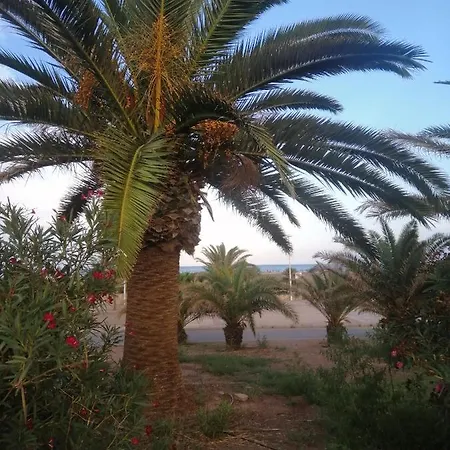 Maximus Apartment Puerto de Sagunto